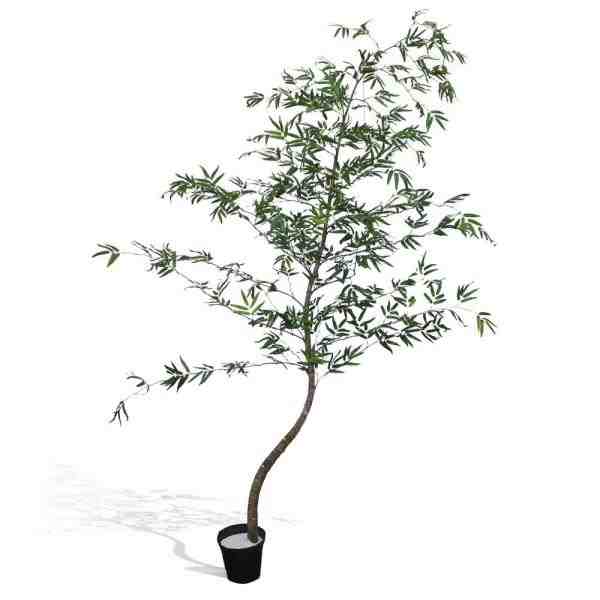 BAMBU MOSSO NATURAL VERDE MEDIO