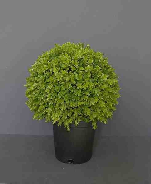 BUXINHO BOLA C/ POTE 45CM