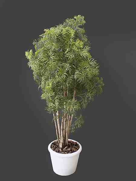 ARVORE DA FELICIDADE C/180FLS 1,60M