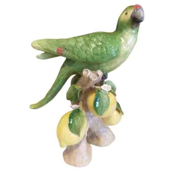 ARARA NO TRONCO DE TRES PES NO LIMAO