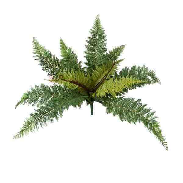 BUQUE SAMAMBAIA X12 ALT 50CM