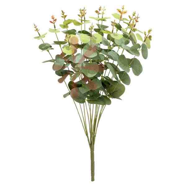 BUQUE EUCALIPTO X15 C/ 150FOLHAS ALT 55CM