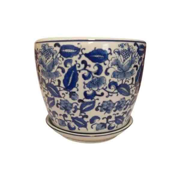 VASO G