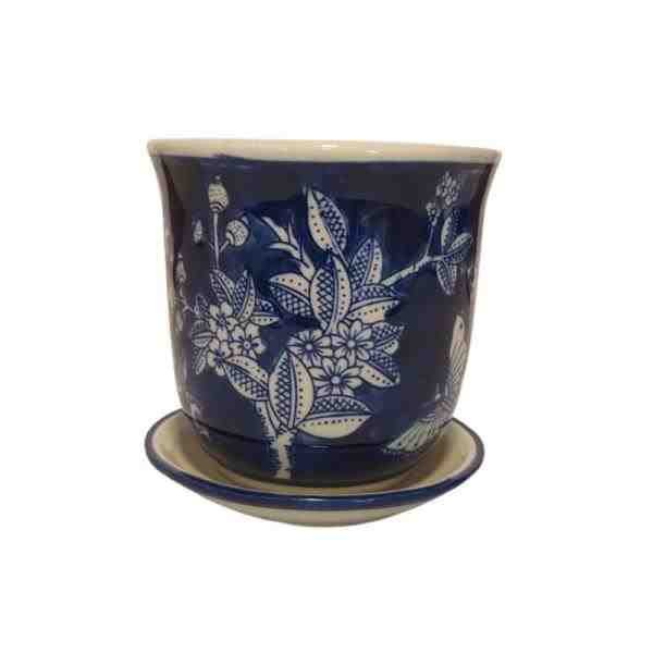 VASO PP