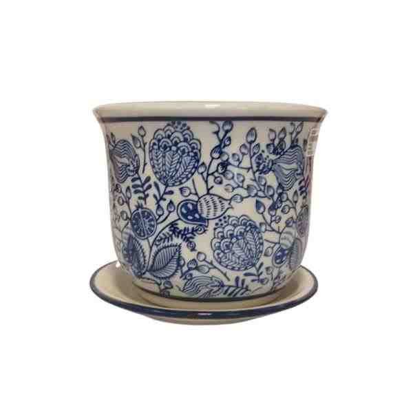 VASO P