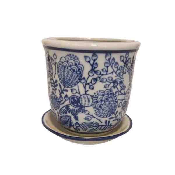 VASO PP