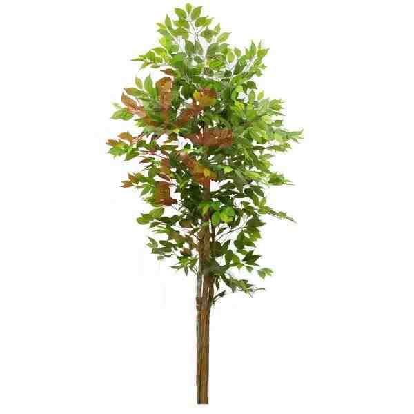 ARVORE FICUS ALT 1,80M