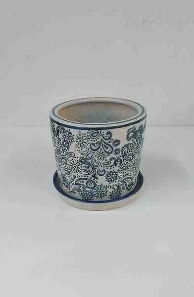 VASO PP