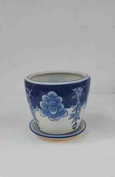 VASO PP