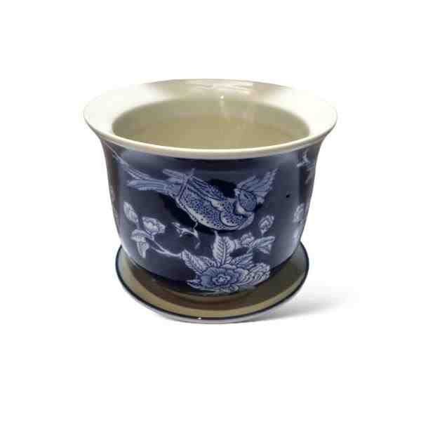 VASO P