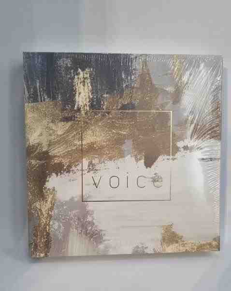 BOOK BOX VOICE 31X30X5CM