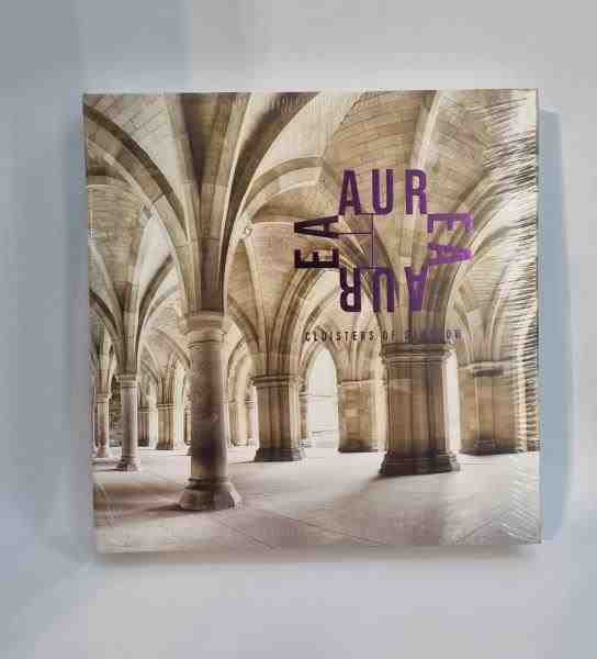 BOOK BOX AUREA SAGRADA FAMILIA 31X30X5CM