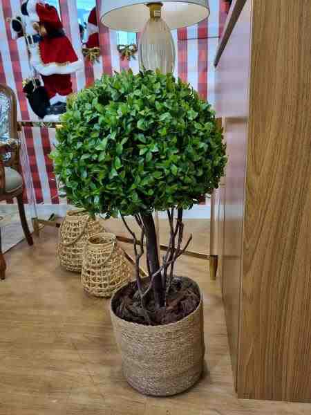 ARBUSTO  PRESERVADO  G