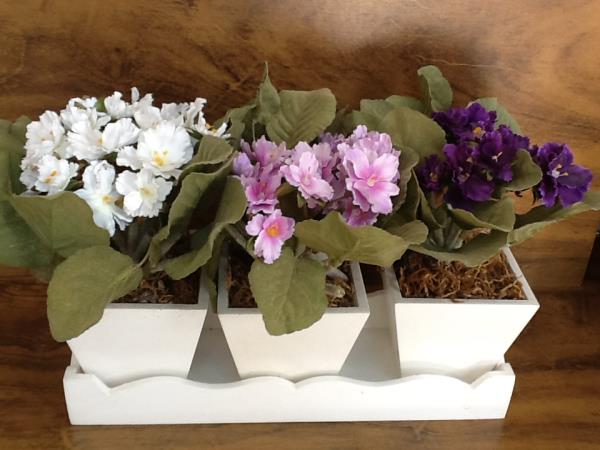 VIOLETA X3 VS BRANCO