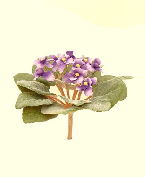 VIOLETA GALHO 17 CM