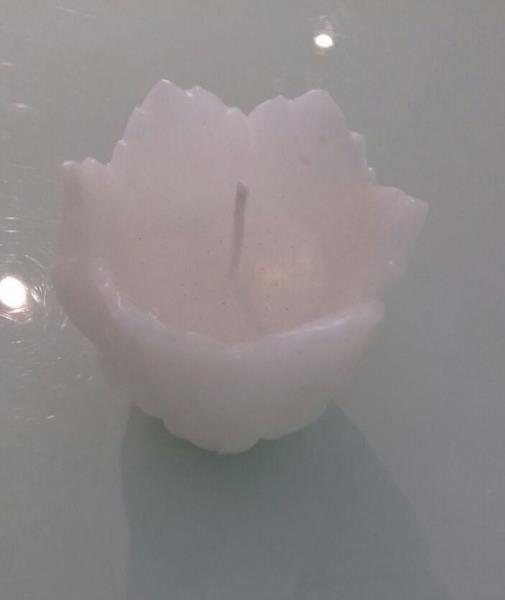 VELA TULIPA