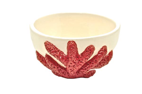 BOWL DE CORAL