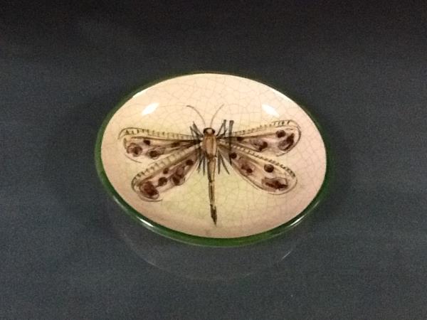 TRAVESSA OVAL PQ NOVA BOT LIBELULA