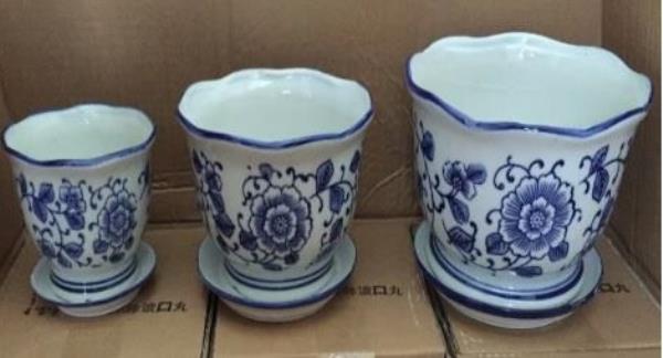 VASO B