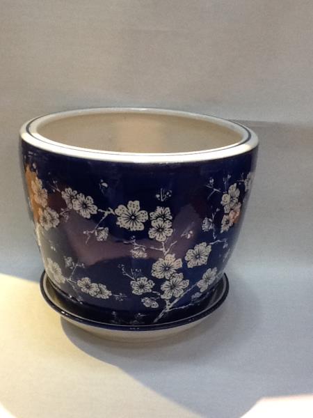 VASO D
