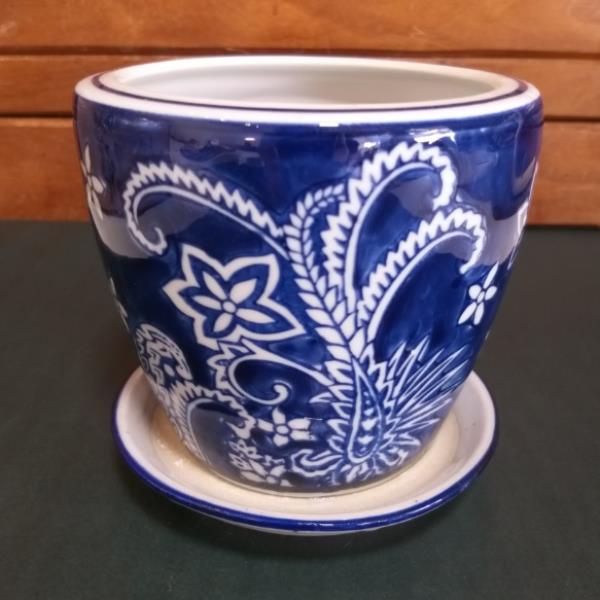 VASO PP