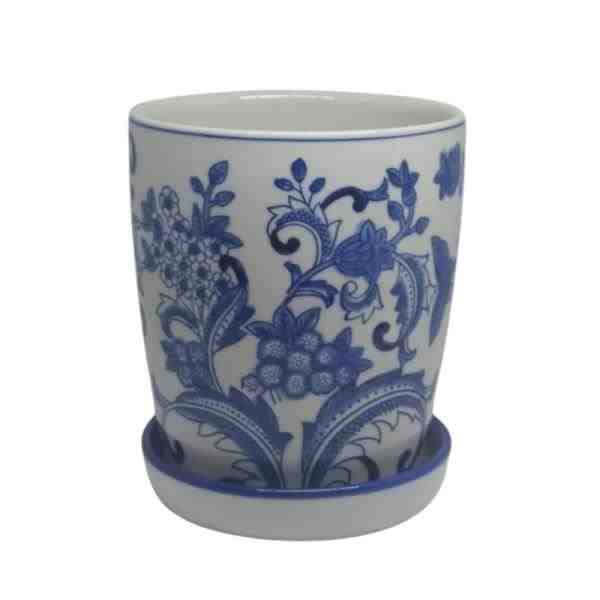 VASO G