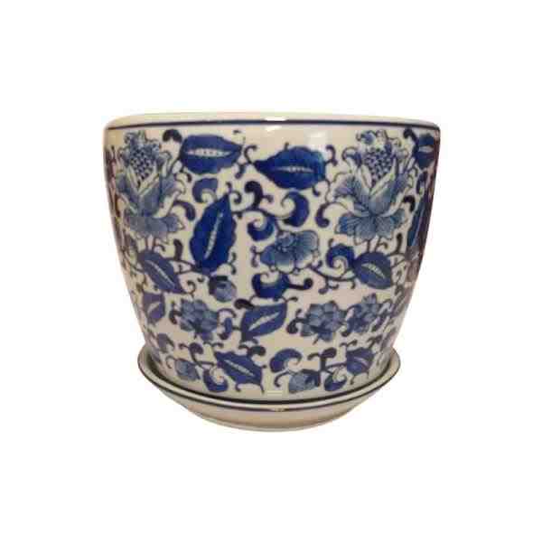 VASO G