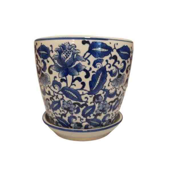 VASO M