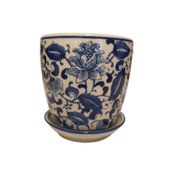 VASO P