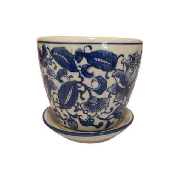 VASO PP