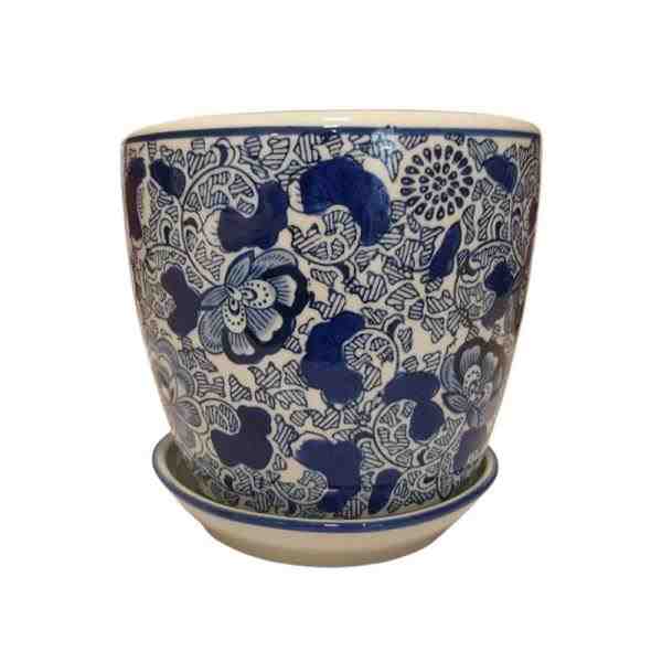 VASO M