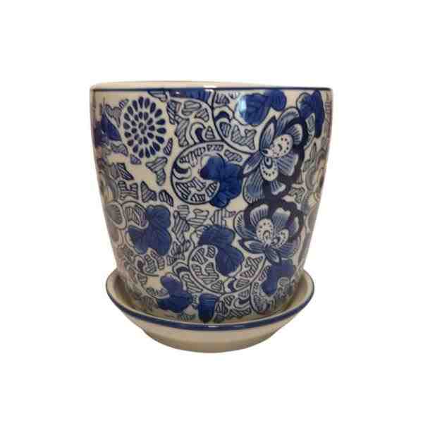 VASO P