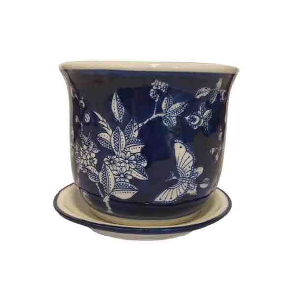 VASO P