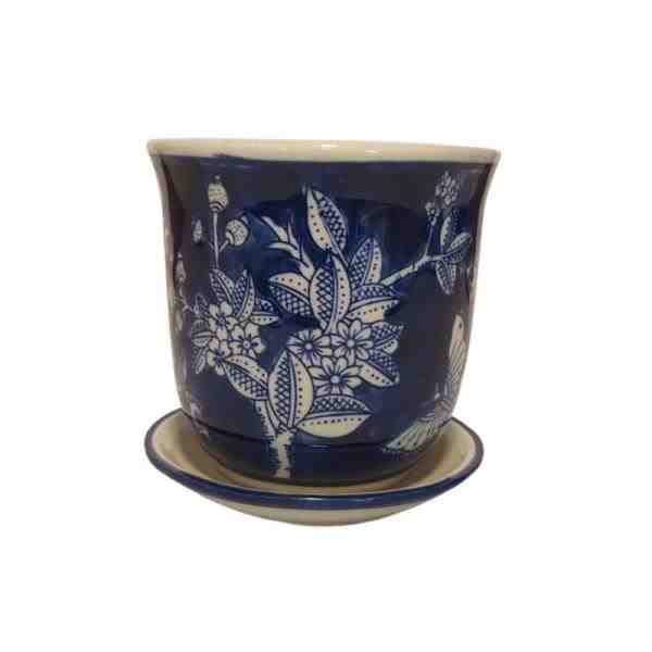 VASO PP