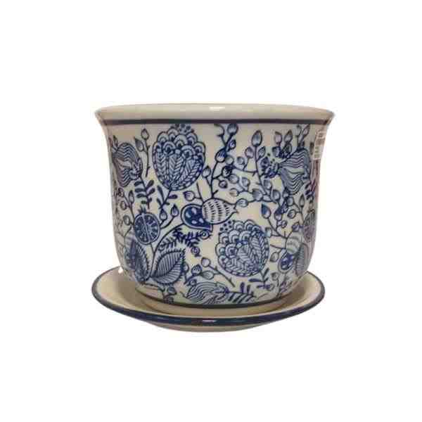 VASO P