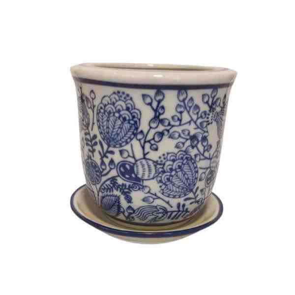 VASO PP