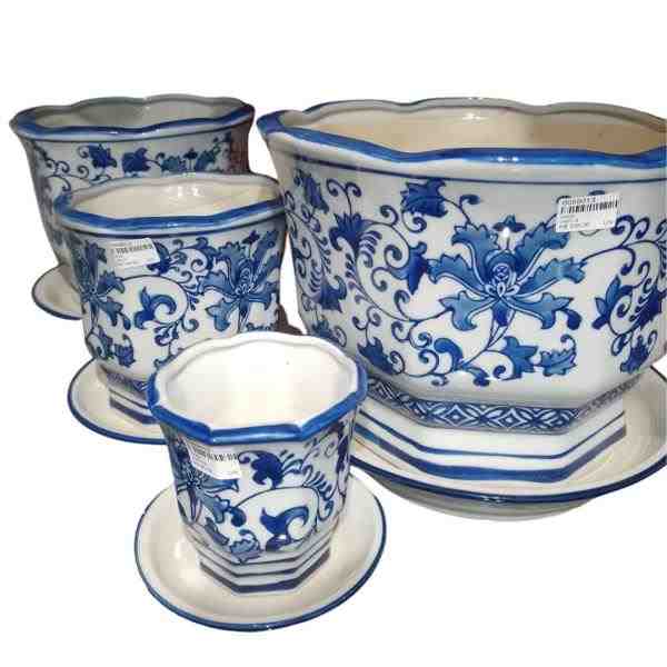 VASO PP