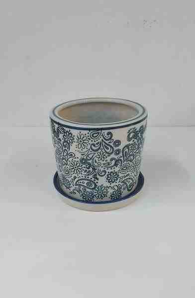 VASO PP