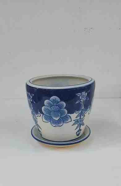 VASO PP