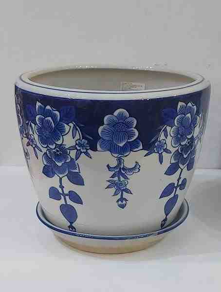 VASO G