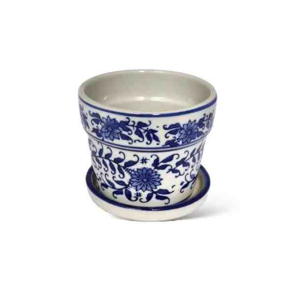 VASO G