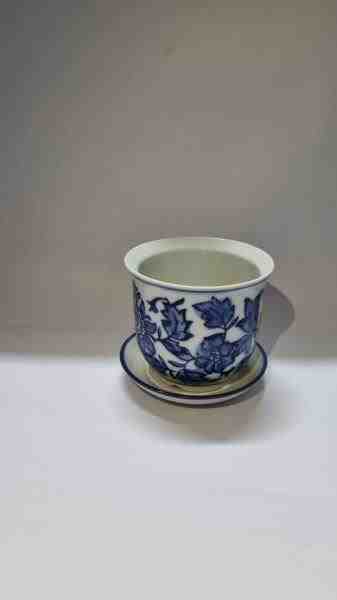 VASO P