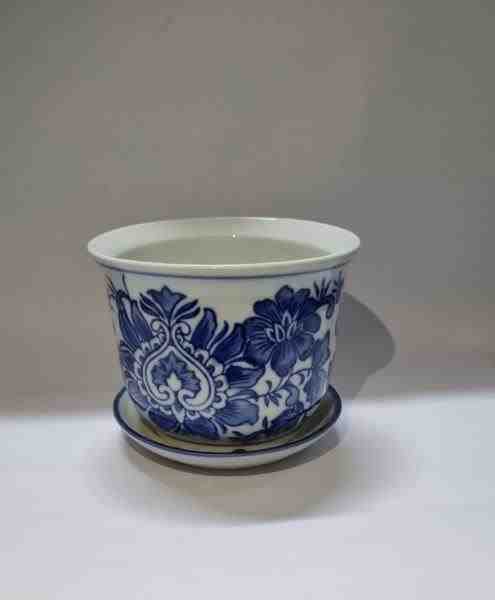 VASO M