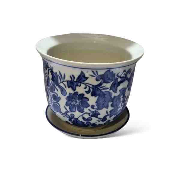 VASO G