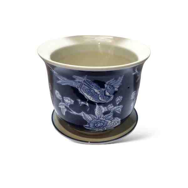 VASO M