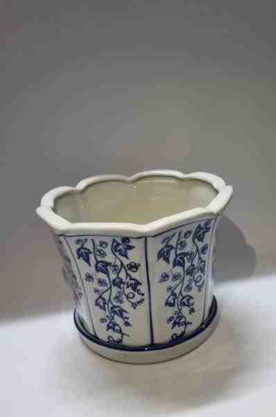 VASO G