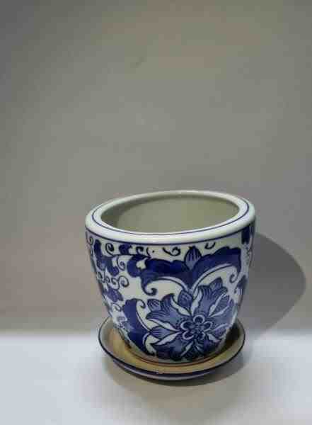 VASO P