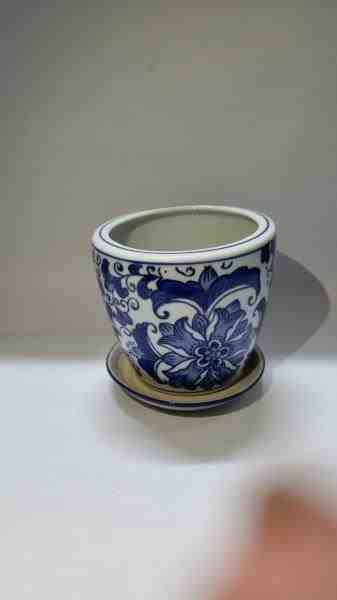 VASO EG