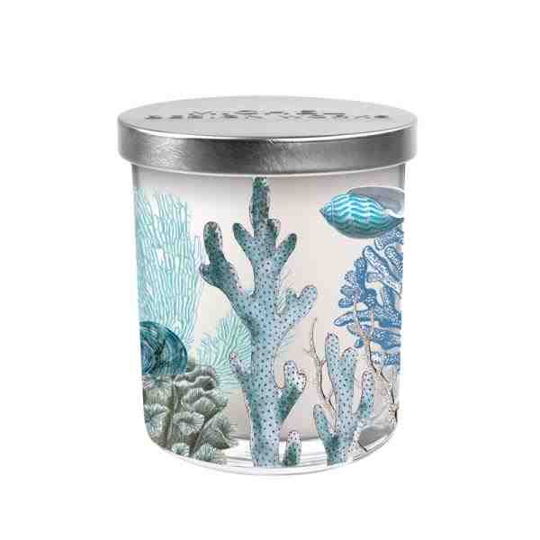 VELA P COM TAMPA OCEAN TIDE